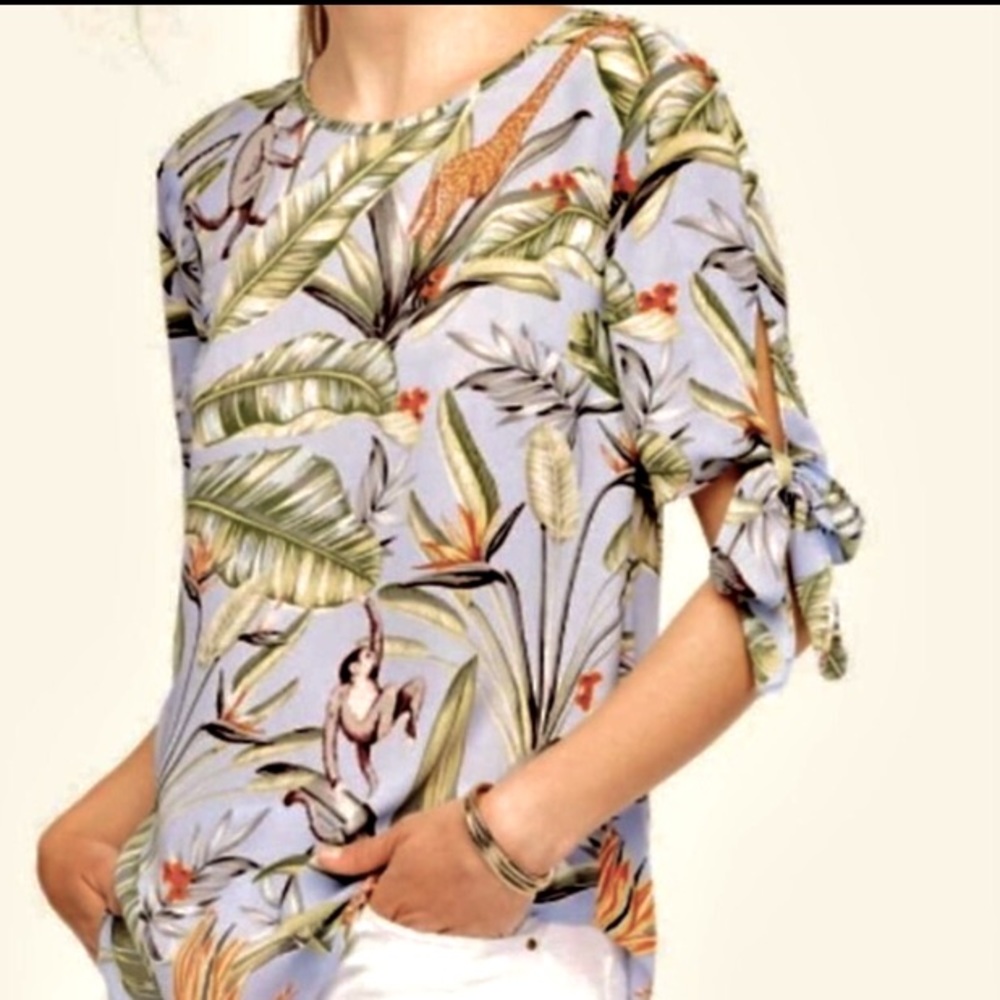 Ann Taylor Botanical & Monkey Top